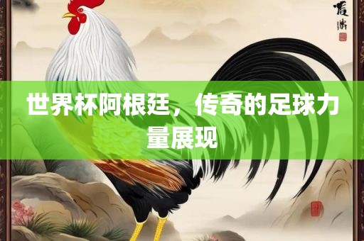 世界杯阿根廷丹东日丰电子有限公司，传奇的足球力量展现