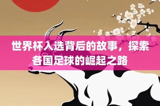 世界杯入选背后的故事，探索各国足球的崛起之路