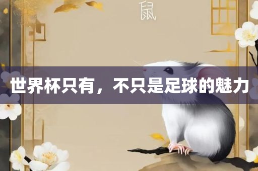 世界杯只有，不只是足球的魅力丹东日丰电子有限公司