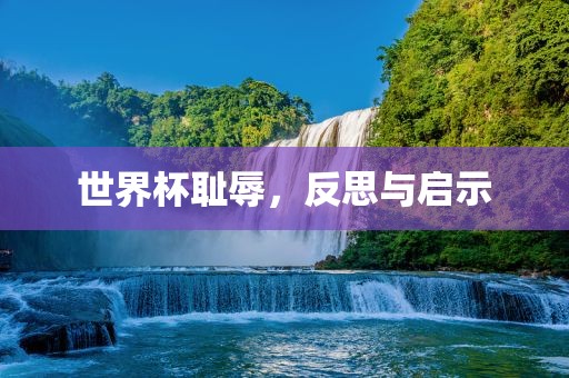 世界杯耻辱，反思与启示丹东日丰电子有限公司