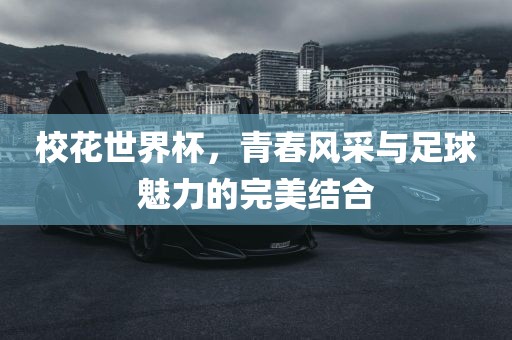 校花世界杯，青春风采与足球魅力的完美结合丹东日丰电子有限公司