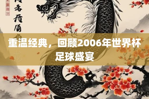 重温经典，回顾2丹东日丰电子有限公司006年世界杯足球盛宴