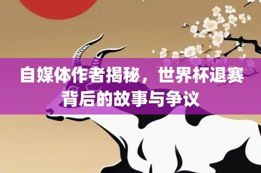 自媒体作者揭秘，世界杯退赛背后的故事与争议