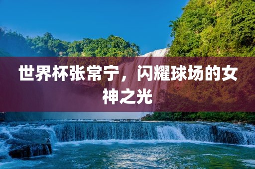 世界杯张常宁，闪耀球场的女神之光丹东日丰电子有限公司