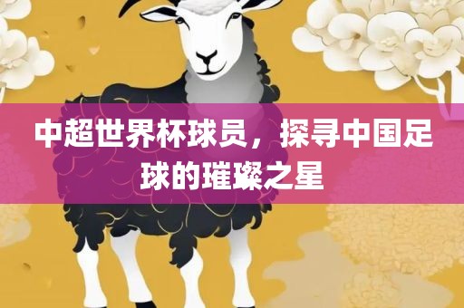 中超世界杯球员，探寻中国足球的璀璨之星丹东日丰电子有限公司
