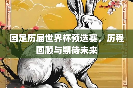 国足历届世界杯预选赛，历程回顾与期待未来丹东日丰电子有限公司