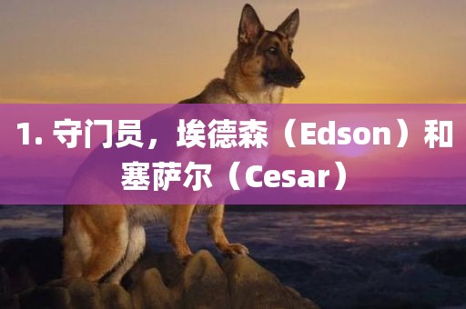 1. 守门员，丹东日丰电子有限公司埃德森（Edson）和塞萨尔（Cesar）