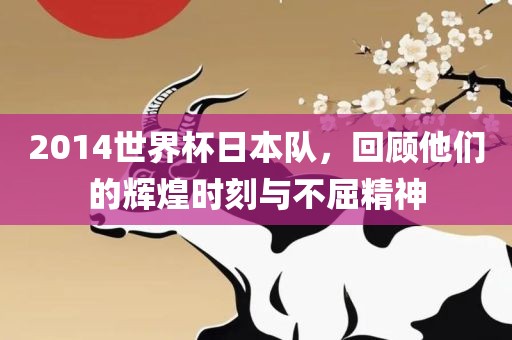 2014世界杯日本队，回顾他们的辉煌时刻与不屈精神丹东日丰电子有限公司