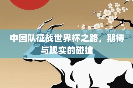 中国队征战世界杯之路，期待与现实的碰撞