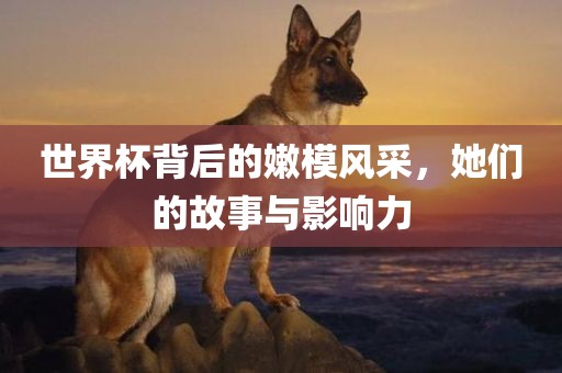 世界杯背后的嫩模风采，她们的故事与影响力丹东日丰电子有限公司