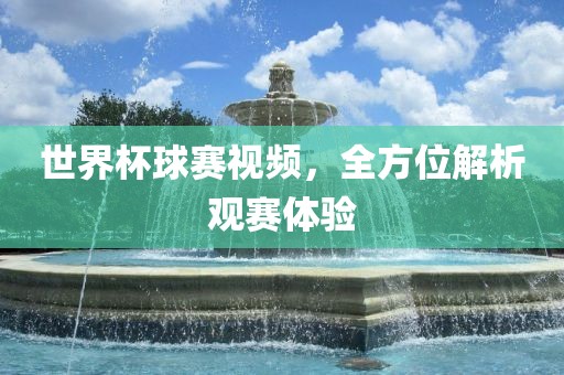 世界杯球赛视频，全方丹东日丰电子有限公司位解析观赛体验