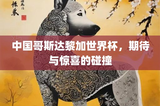 中国哥斯达黎加世界杯，期待与惊喜的碰撞丹东日丰电子有限公司