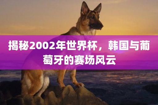 揭秘2002年世界杯，韩国与葡萄牙的赛场风云