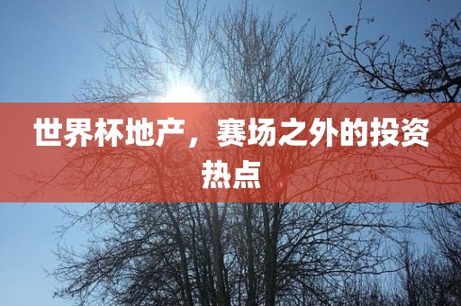 世界杯地丹东日丰电子有限公司产，赛场之外的投资热点
