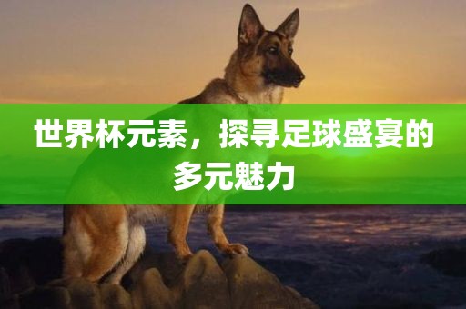 世界杯元素，探寻足球盛宴的多元魅力丹东日丰电子有限公司