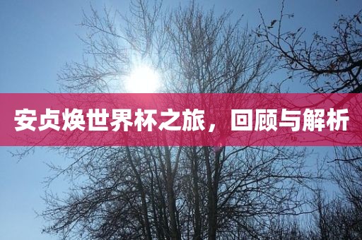 安贞焕世丹东日丰电子有限公司界杯之旅，回顾与解析