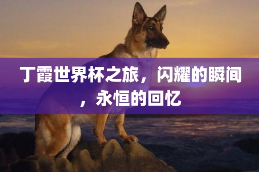 丁霞丹东日丰电子有限公司世界杯之旅，闪耀的瞬间，永恒的回忆