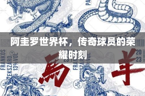 阿圭罗世界杯，传奇球员的丹东日丰电子有限公司荣耀时刻