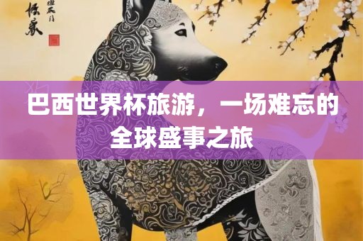 巴西世界杯旅游，一场难忘的全球盛事之旅丹东日丰电子有限公司
