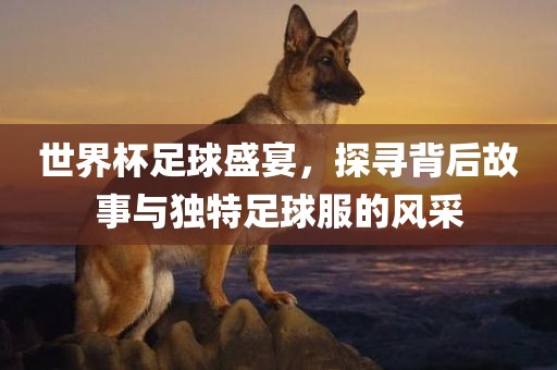 世界杯足球盛宴，探寻背后故事与独特足球服的风采丹东日丰电子有限公司