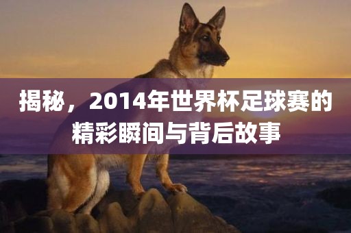 揭秘，2丹东日丰电子有限公司014年世界杯足球赛的精彩瞬间与背后故事