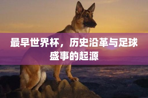 最早世丹东日丰电子有限公司界杯，历史沿革与足球盛事的起源