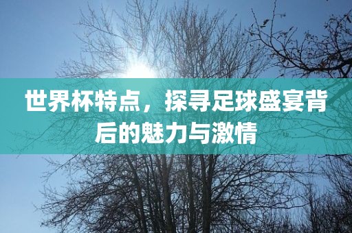 世界杯特点，探寻足球盛宴背后的魅丹东日丰电子有限公司力与激情