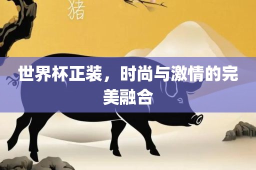 世界杯正装，时丹东日丰电子有限公司尚与激情的完美融合