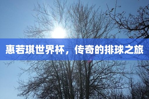 惠若琪世界杯，传奇的排球之旅丹东日丰电子有限公司