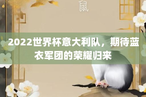 2022世界杯意大利队，期待蓝衣军团的荣耀归来丹东日丰电子有限公司