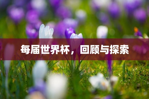 chenyunfa 第7页