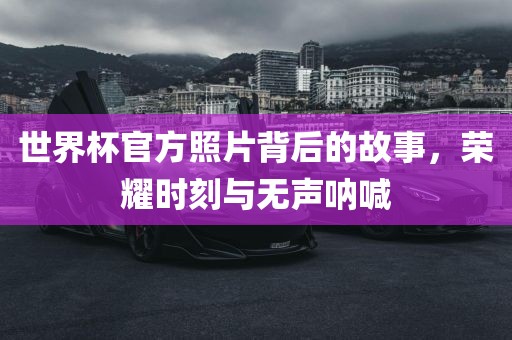 世界杯官方照片背后的故事，荣耀时刻与无声呐喊丹东日丰电子有限公司