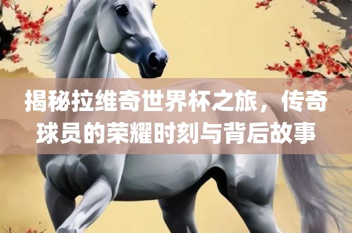 揭秘拉维奇世界杯之旅，传奇球员的荣耀时刻与背后故事