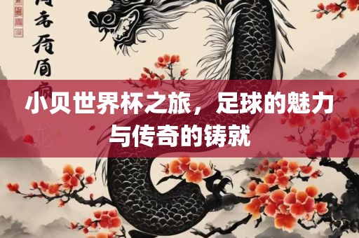 小贝世界丹东日丰电子有限公司杯之旅，足球的魅力与传奇的铸就