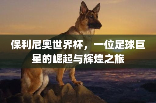 保利尼奥世界杯，一位足球巨星的崛起与辉煌之旅丹东日丰电子有限公司