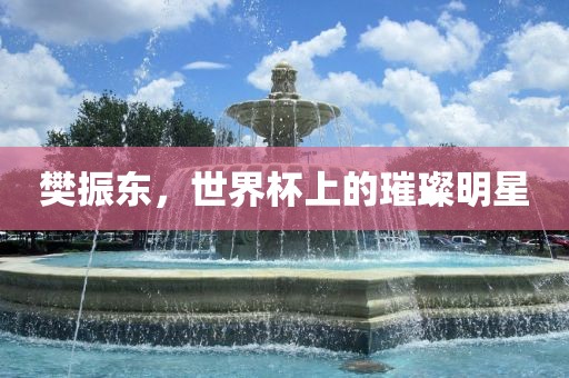樊振东，世界杯上的璀璨明星丹东日丰电子有限公司
