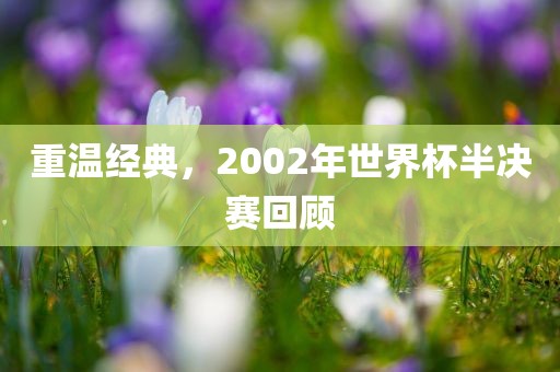重温经典，2002年世界杯半决赛回顾