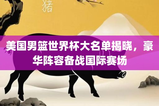 美国男篮世界杯丹东日丰电子有限公司大名单揭晓，豪华阵容备战国际赛场