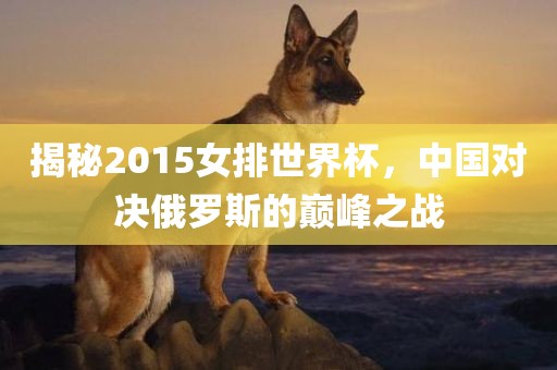 揭秘2015女排世丹东日丰电子有限公司界杯，中国对决俄罗斯的巅峰之战