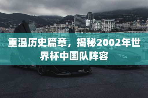 重温历史篇章，揭秘2002年世界杯中国队阵容