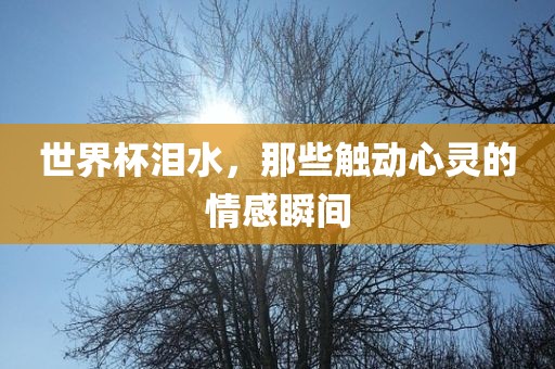 世界杯泪水，丹东日丰电子有限公司那些触动心灵的情感瞬间
