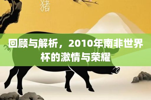 回顾与解析，2010年南非丹东日丰电子有限公司世界杯的激情与荣耀