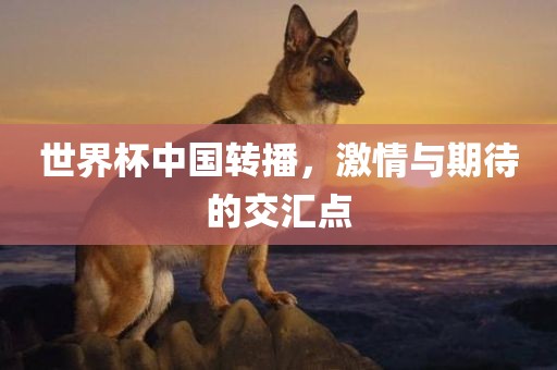 世界杯中国转播，激情与期待的交汇点丹东日丰电子有限公司