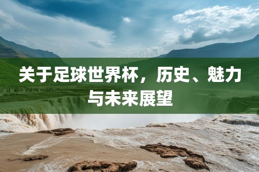 关于足球世界杯，历史、魅力与未来展望丹东日丰电子有限公司