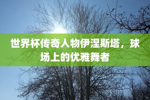 世界杯传奇人物伊涅斯塔，球场上的优雅舞者丹东日丰电子有限公司