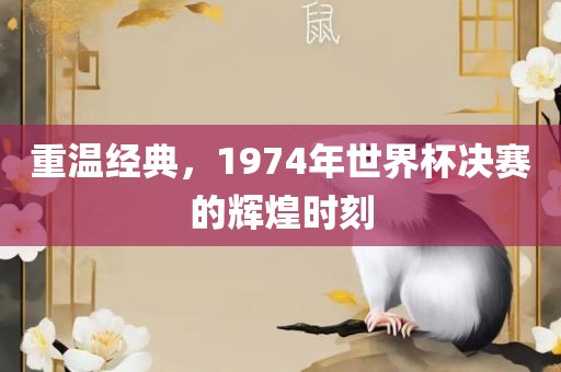 重温经典，1974年世界杯决赛的辉煌时刻丹东日丰电子有限公司