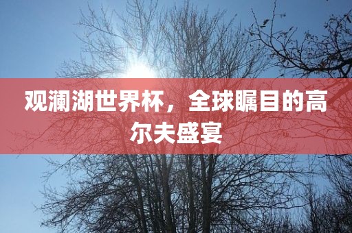 linzhenyu 第5页
