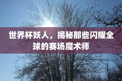 世界杯妖人，揭秘那些闪耀全球的赛场丹东日丰电子有限公司魔术师