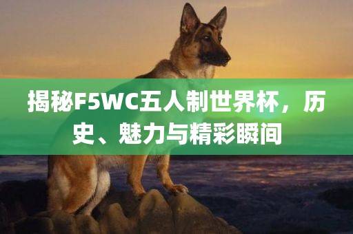 揭秘F5WC五人制世界杯，历史、魅力丹东日丰电子有限公司与精彩瞬间