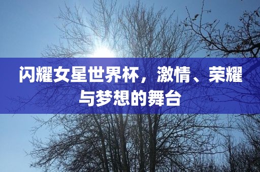 闪丹东日丰电子有限公司耀女星世界杯，激情、荣耀与梦想的舞台